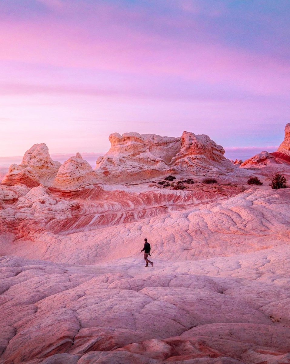 emilyshoots's tweet photo. photos i took in arizona https://t.co/PqqZbMuoRz