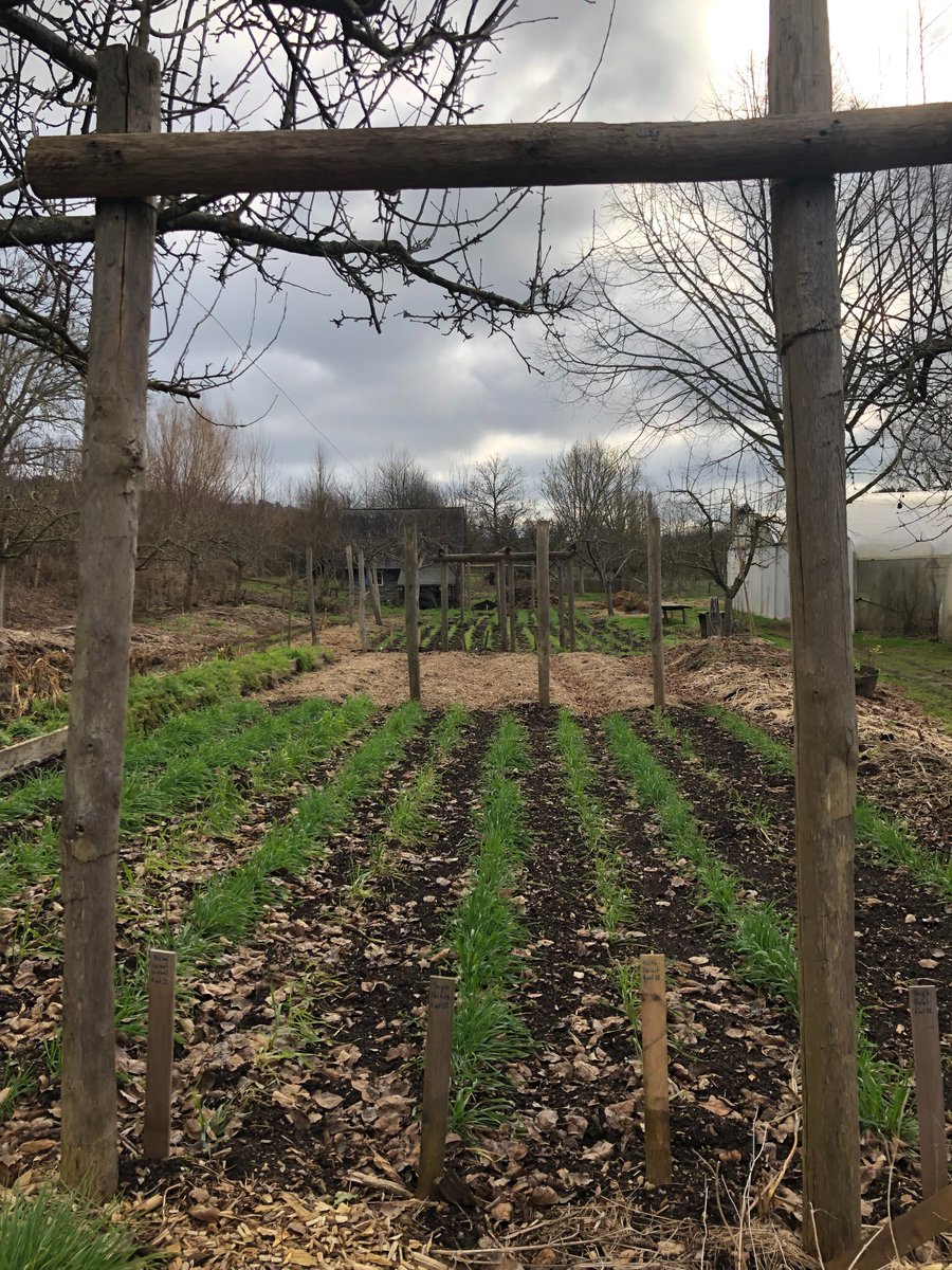 MuriloVeloso7's tweet photo. Today we had a rich experience at Bec Hellouin farm, reference in permaculture and in resilient agric. They never stops experimenting, always using ecological power in a human-nature harmony. Thanks Charles for feeding our imagination and our desire to do agriculture differently. https://t.co/dWznOY1mWF