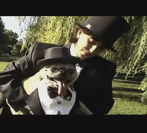 Dubb Nubb tweet media