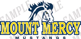 Blessed to have just received an offer from Mount Mercy University