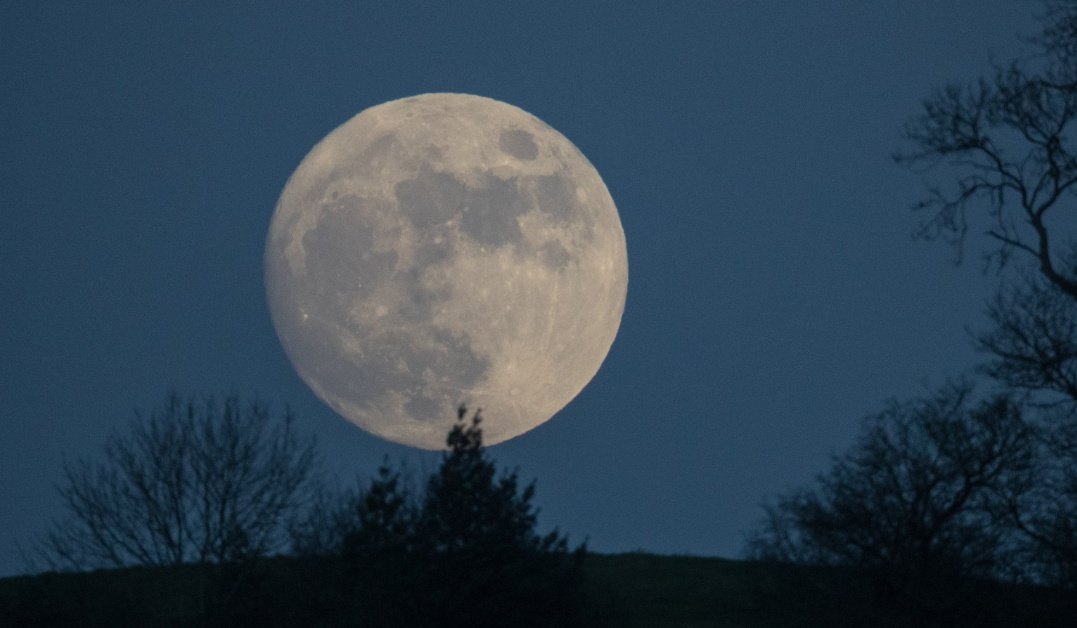 📝 التذكير بصيام الأيام البيض لشهر رجب :

• السبت (4/2)
• الأحد (5/2)
• الإثنين (6/2)
ㅤㅤㅤㅤㅤㅤㅤㅤㅤㅤ