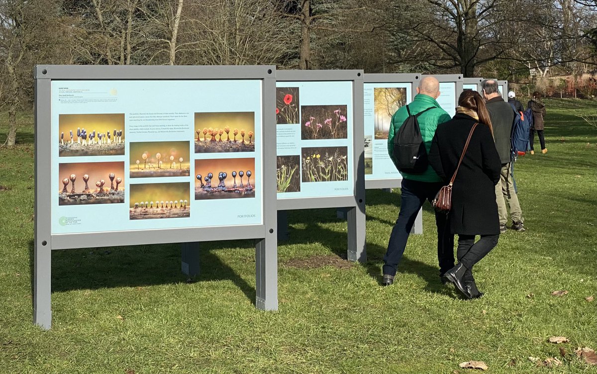 Simon Hill HonFRPS (@scirebroc) on Twitter photo Not to be thwarted by the rail strikes, delighted to be in London at <a href="/kewgardens/">KewGardens</a> representing <a href="/The_RPS/">The Royal Photographic Society</a> Royal Photographic Society. Presenting medals and certificates to RPS Portfolio winners in the 16th <a href="/igpoty/">igpoty</a> International Garden Photographer of the Year Competition. #IGPOTY Not to be thwarted by the rail strikes, delighted to be in London at <a href="/kewgardens/">KewGardens</a> representing <a href="/The_RPS/">The Royal Photographic Society</a> Royal Photographic Society. Presenting medals and certificates to RPS Portfolio winners in the 16th <a href="/igpoty/">igpoty</a> International Garden Photographer of the Year Competition. #IGPOTY
