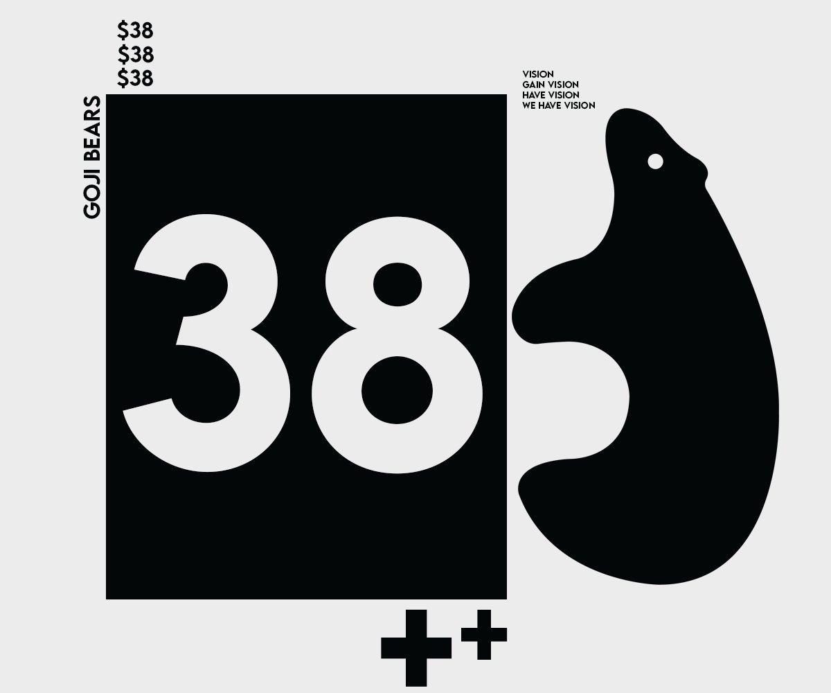 Over the past two days our project was able to generate $38 in revenue!