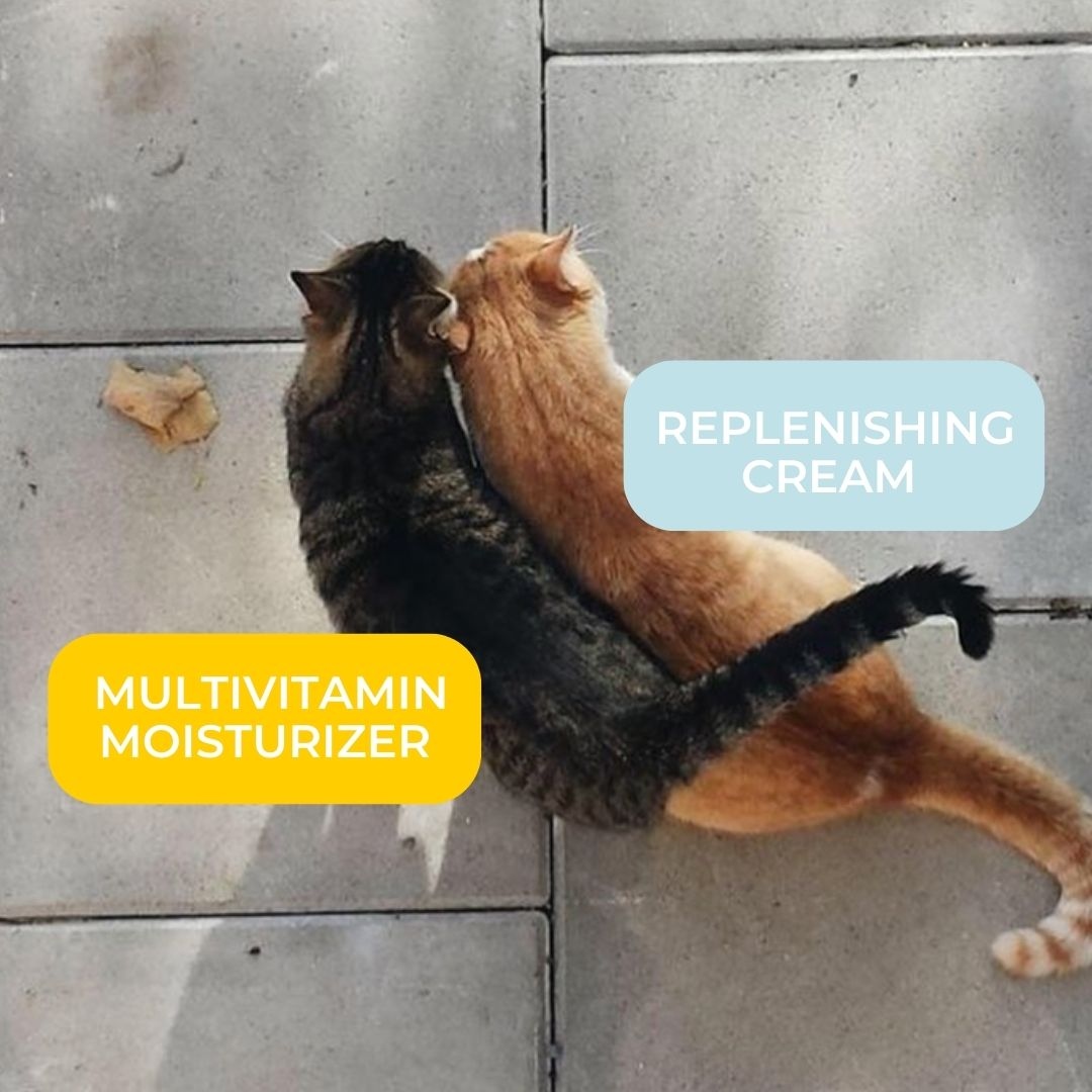 LightWaterSkin's tweet photo. Some things are just better together💞⁠
⁠
Our regimen of AM and PM skincare works in harmony to give skin what it needs, when it needs it. The perfect around-the-clock routine for all skin types.⁠ https://t.co/bUg6QcIz54