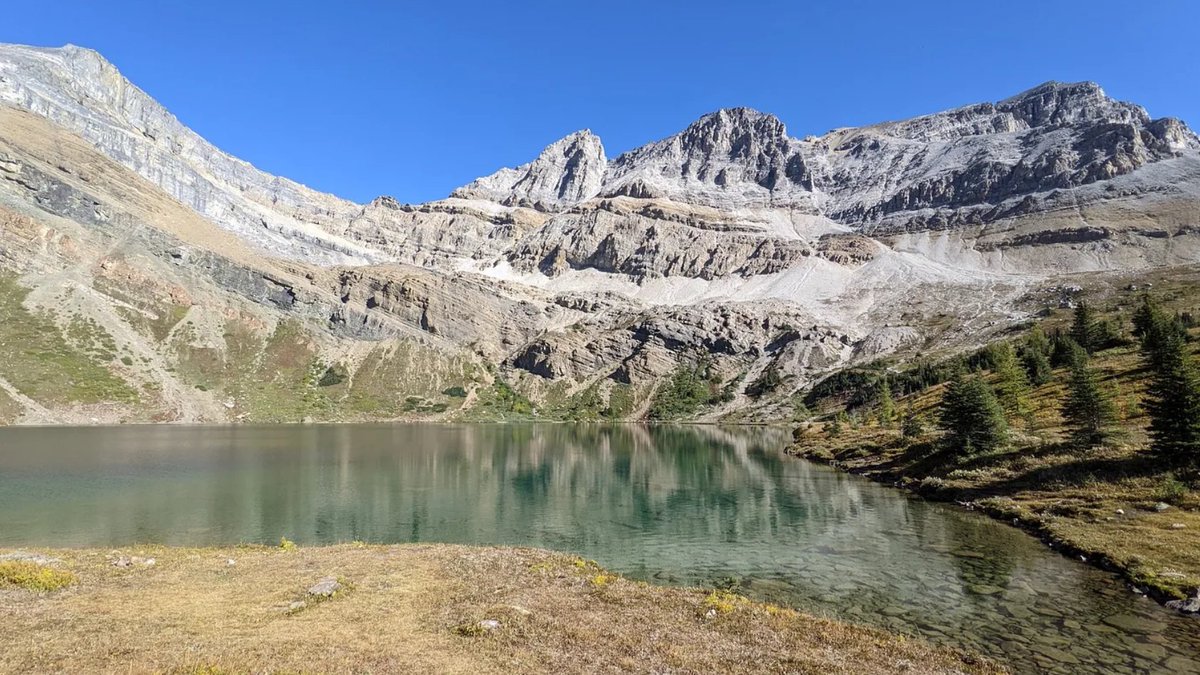 TUCanada1's tweet photo. Members of our Native Trout team heard of a new population of westslope cutthroat trout thriving in a hidden lake, a high alpine lake near Lake Louise.
Want to read more? Click the link below!
https://t.co/Ipt6s07YJx
#canadianwater #stem #trout #outdooreducation #conservation https://t.co/0E04NdHEmL