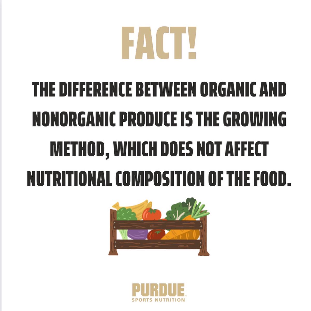 Purdue Sports RDs tweet media