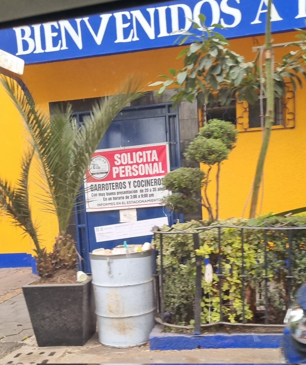 hajijos's tweet photo. Sale la vacante del día... eres golpeador y te gusta maltratar a comensales? Esta es tu oportunidad.
#laborar #empleo #golpes #birrialapolar https://t.co/97dNAQM5N6