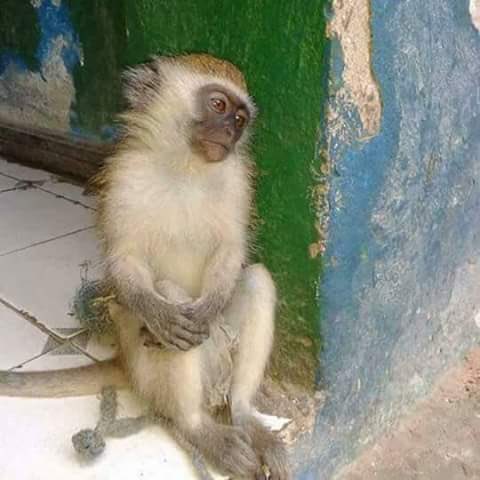 بعد الطرد 😂😂