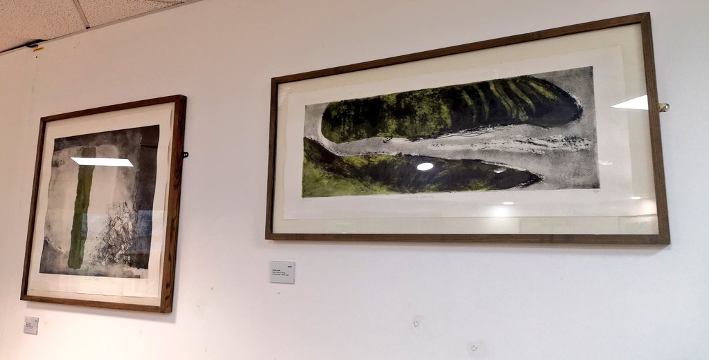 DCHFT_Library's tweet photo. To finish for this week, we're thrilled to have some more fantastic artwork installed by @ArtsInHospital, showcasing the work of @ursulaleach12. 

Creating a calm and reflective space in our study area for #TeamDCH. https://t.co/hhqRKYtWR3