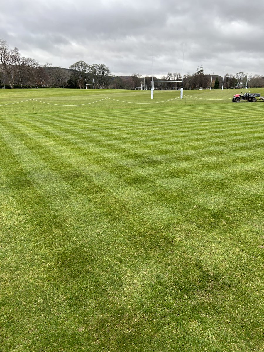 Merchiston Grounds tweet media