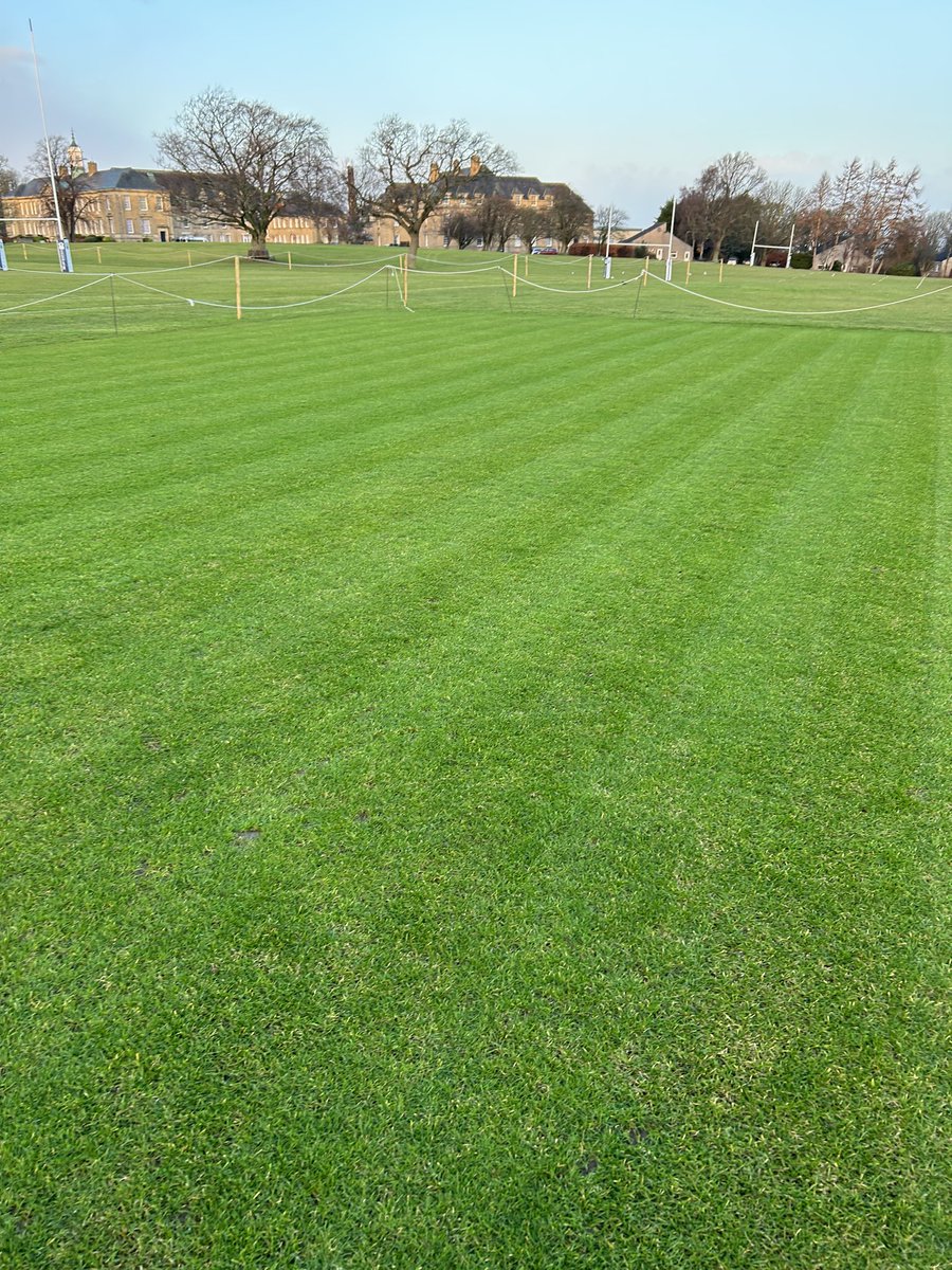 Good to get a cut and feed on the cricket squares over the last couple of weeks.