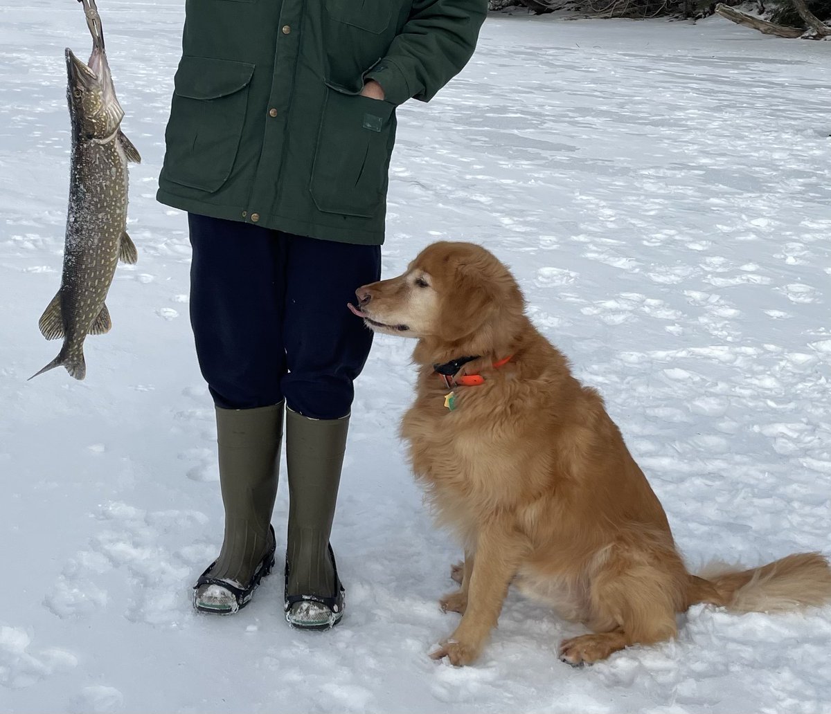 tonOapples's tweet photo. @TheGoldenRatio4 Notice the tongue 👅 https://t.co/2uwPiDSPyH