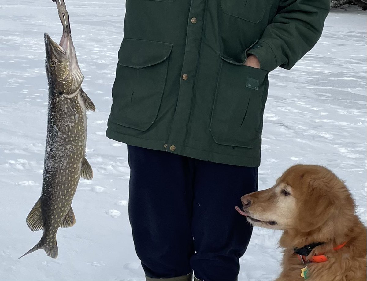 tonOapples's tweet photo. @TheGoldenRatio4 Notice the tongue 👅 https://t.co/2uwPiDSPyH