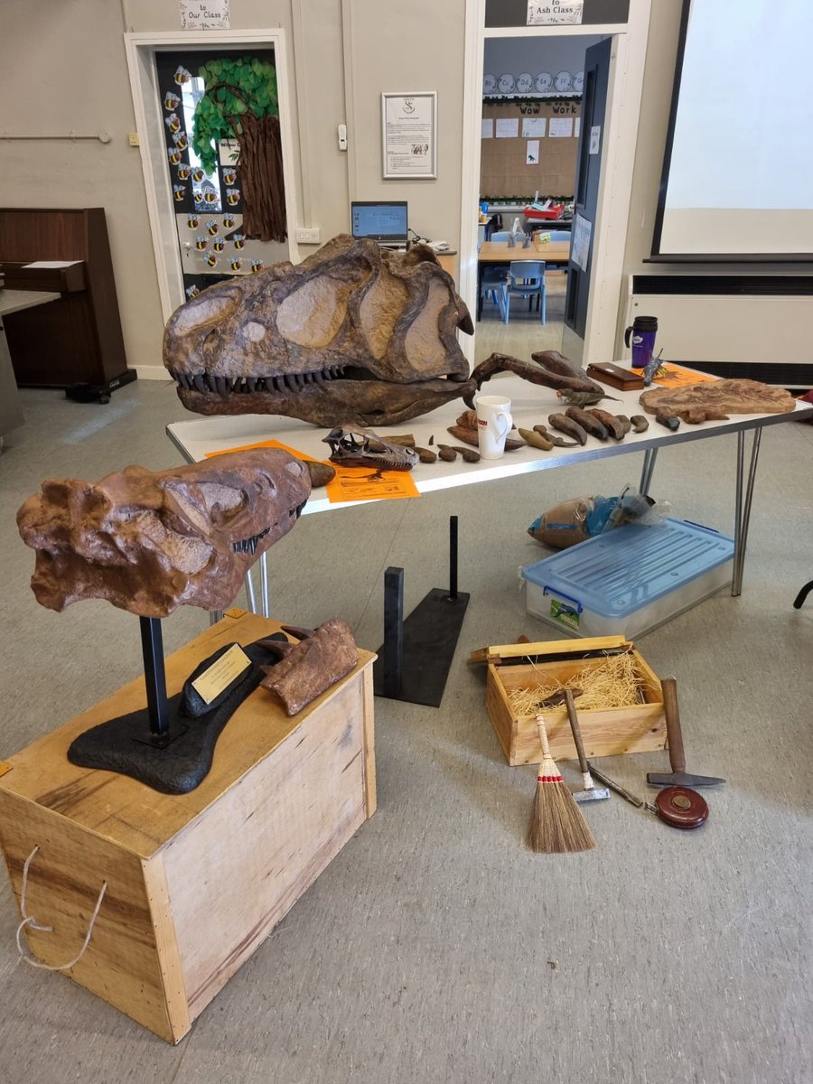 Tracey Mallows tweet media