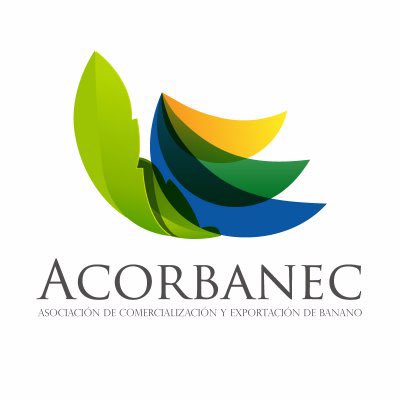 gaetanoleonef's tweet image. En Ecuador existen 2 asociaciones que aglutinan a las principales exportadoras de banano del Ecuador.

AEBE
👤 46 socios exportadores
🍌 46% de exportaciones 2022

ACORBANEC 
👤 59 socios exportadores 
🍌 42% de exportaciones 2022

200 exportadores no afiliados con 12% de volumen