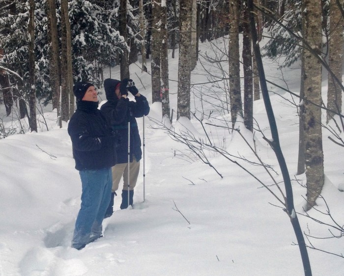 BirdsofVermont's tweet photo. February 2023 with the Museum: finches, kids, and slow birding - https://t.co/Kj6BNEycm0 https://t.co/G4cWdtIZ7a