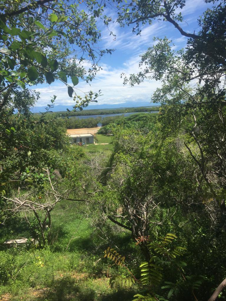 Morrocoy amado 
La vendo!
04123863152
WhatsApp