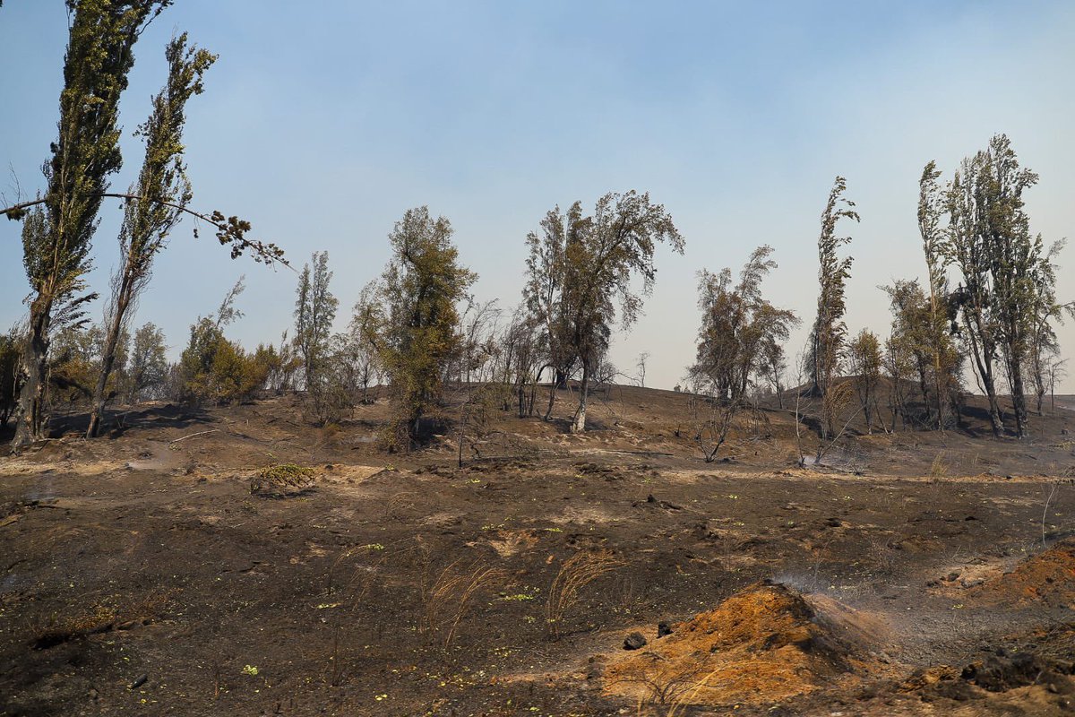 tvalenzuelavt's tweet photo. Estuve en el sector de San Ramón en Quillón con la señora Gladys de 70 años que perdió su casa y su cosecha. 

Los efectos de los incendios forestales han sido terribles y por eso como @MinagriCL estamos comprometidos para apoyar con capital de trabajo a las y los agricultores. https://t.co/IT8QCOzpE5