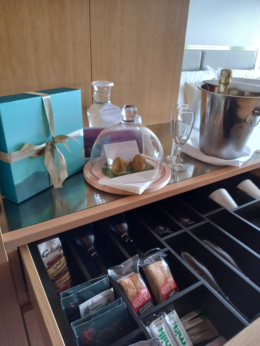 It has been so long, I had almost forgotten what it is like to stay in a real hotel that costs real money..... feather pillows, handmade chocs using honey from their own rooftop bee garden, Champagne on ice, spa package, check out not until 5pm....worth every last penny.