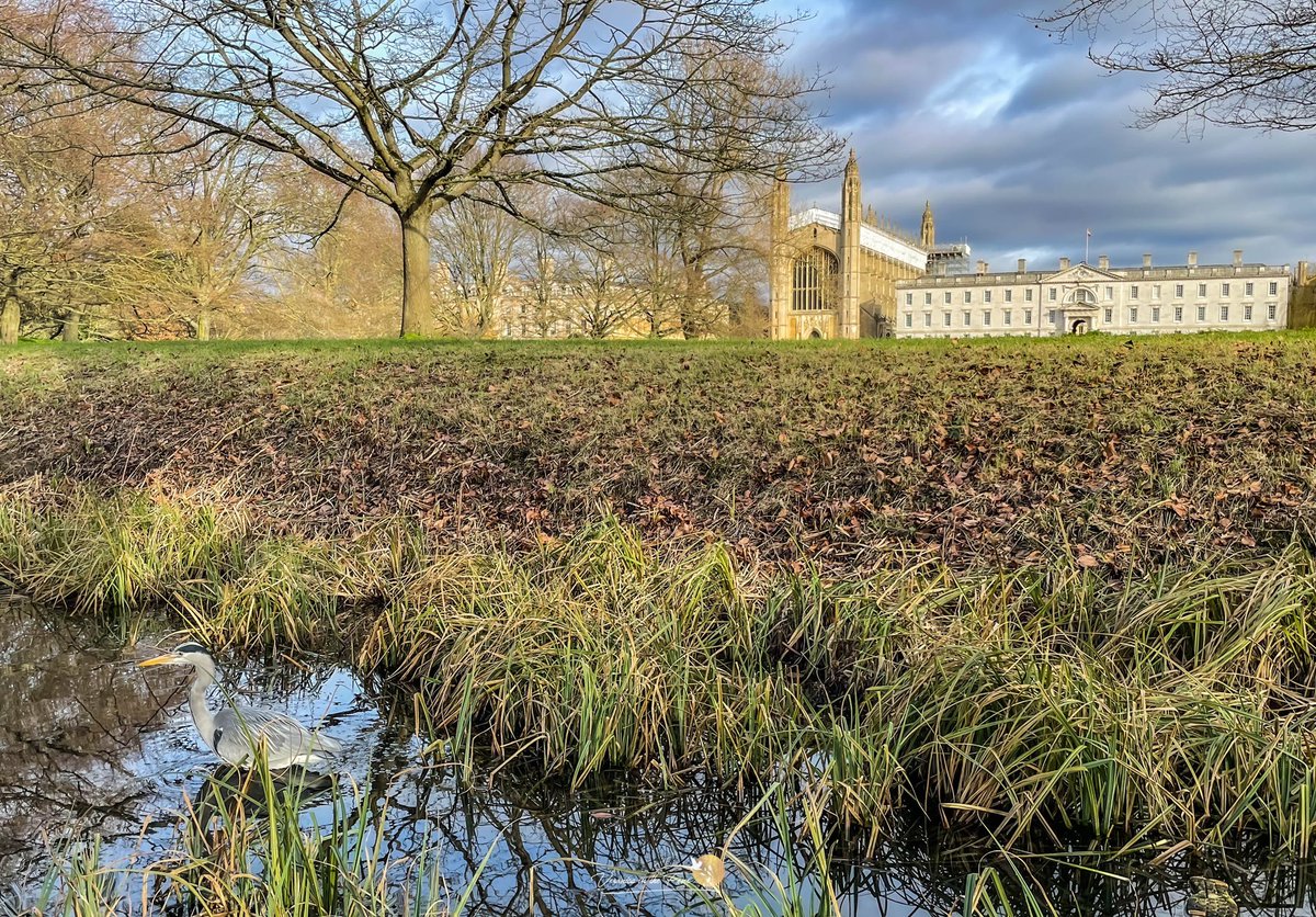 A lovely spring feeling day in Cambridge which was due to appointments and trains strikes. 
Took the opportunity to snap a few photos with my phone. 🥰 +12c
Cambridge, UK
#Cambridge #StormHour #Heron #KingsCollege #VisitCambridge