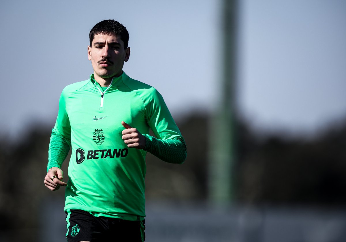 Liga Portugal tweet media