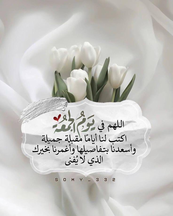 ابو مصطفى Qusay Rampl tweet media