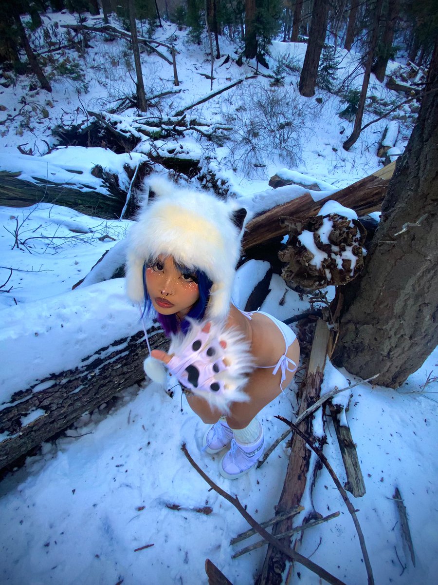 jettuccine's tweet image. 🐻☃️🐾