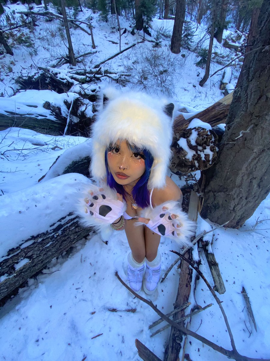 jettuccine's tweet image. 🐻☃️🐾