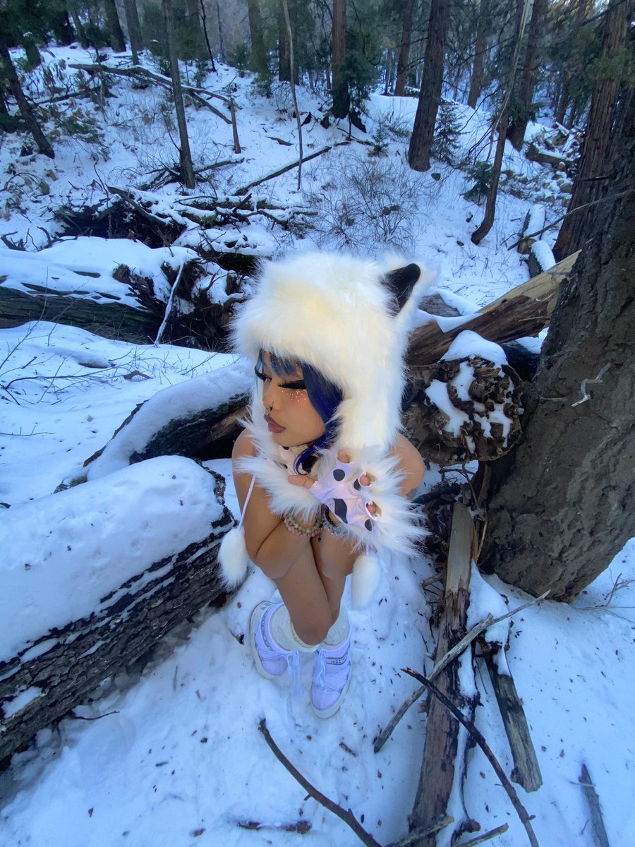 jettuccine's tweet image. 🐻☃️🐾