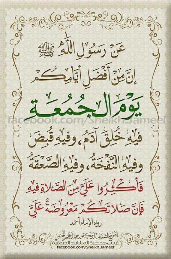 ابو مصطفى Qusay Rampl tweet media