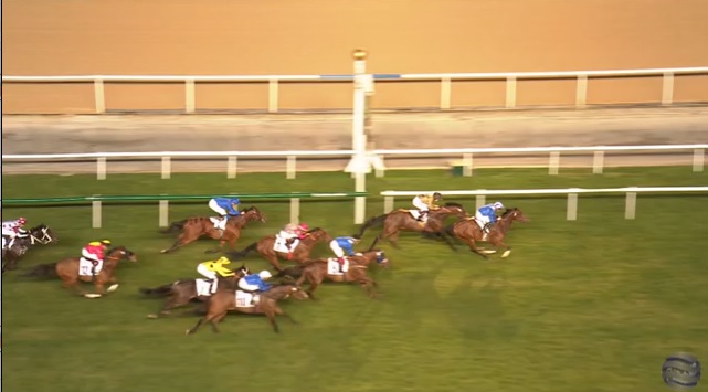 An excellent 2nd place for Ouzo and Saffie Osborne @OsborneSaffie from a very wide draw in the Valley Handicap at Meydan for trainer Jamie Osborne @osbornejamie! Well done! 🏇🥈🇦🇪
#Meydan #Dubai #Ouzo #HorseRacing #DWCCarnival