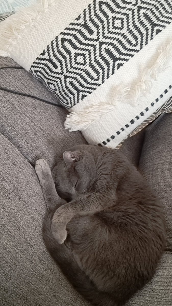 S/o to <a href="/PRisUs/">Michelle Garrett | B2B PR Consultant/Writer</a> Since our Board of Felines made the executive decision to institute strict napping policies on Friday afternoons, this meeting is adjourned. #HappyFriday