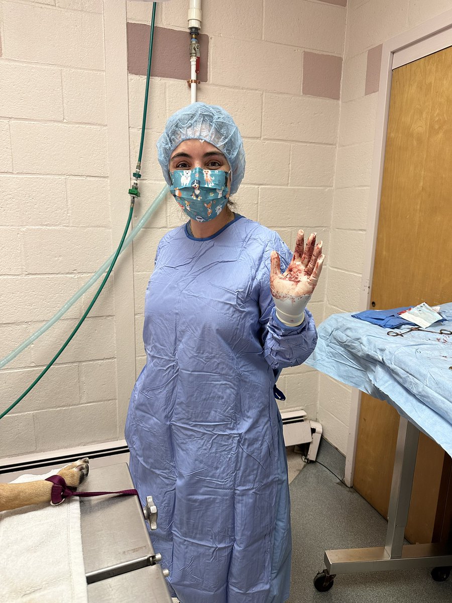 A dream deferred is not a forgotten one. I am so grateful for the all the love, help and support as I make my way toward vet school. What an amazing experience this has turned out to be!