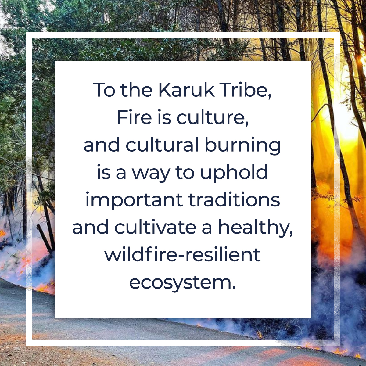 The Impact Collective tweet media