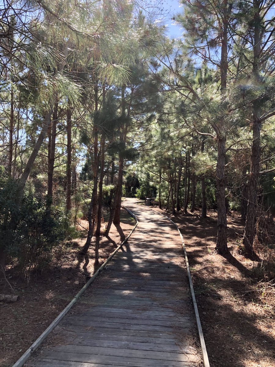 Nancy Danielides tweet media