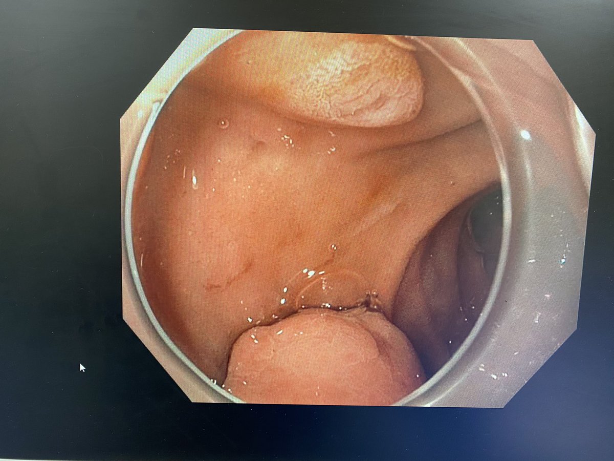 Hafiz Muzaffar Akbar Khan tweet media