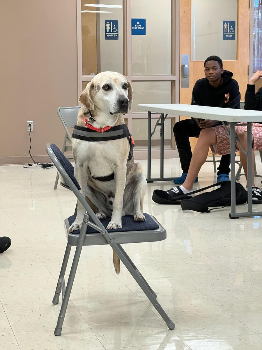 Elsa Lubin tweet media