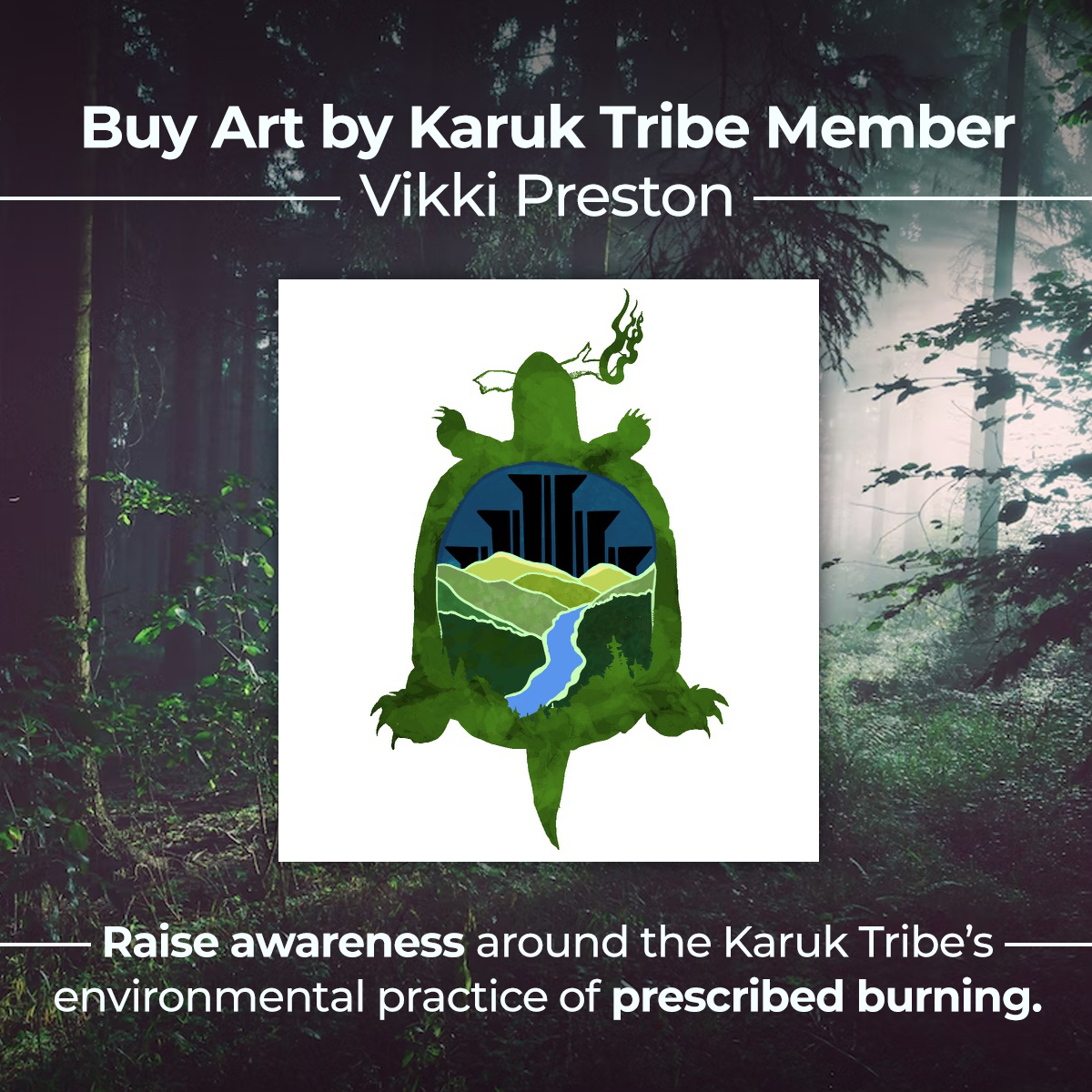 The Impact Collective tweet media