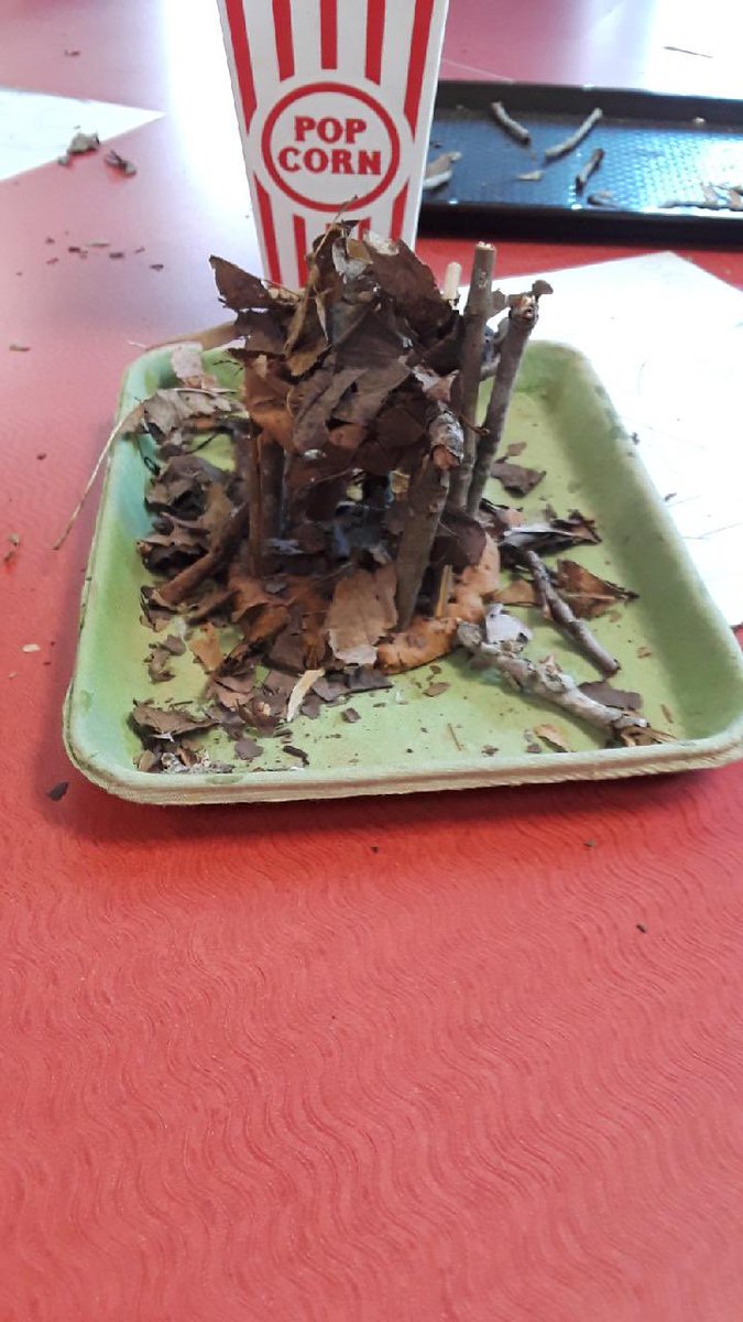 Kindergarten designing and building their own bear habitats. <a href="/MrsKHardin/">Kyla Hardin</a> <a href="/sumnerstem/">@SumnerSTEM @SumnerSTEAM</a> <a href="/kylecraighead85/">Kyle Craighead</a> <a href="/KarenMedana/">Karen Medana</a>