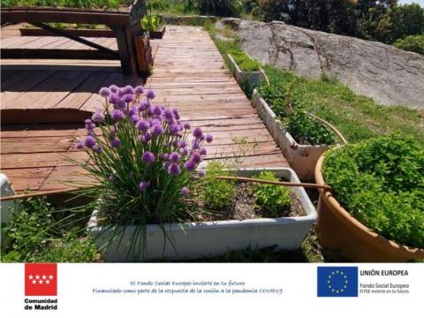 EvaFdezCabani's tweet photo. NATURALIZACIÓN DE PATIOS ESCOLARES, OTROS ENTORNOS DE APRENDIZAJE
https://t.co/CtJJp9fN9Z
➡️Destinatarios: docentes @educacmadrid
➡️Duración: 09/03/2023 - 22/03/2023
➡️Modalidad:  Presencial
➡️Lugar: ISMIE, CEA El Águila (Chapinería),  CEA Polvoranca
  #IF_CMadrid https://t.co/GtAj5fznT5