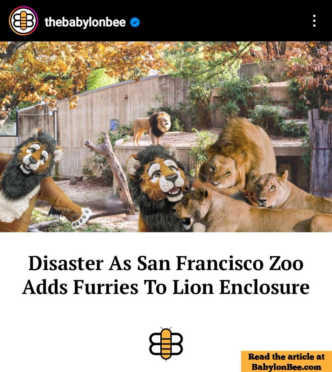 LeeAnn Star on Twitter "yo the TheBabylonBee snapped today 🤣"