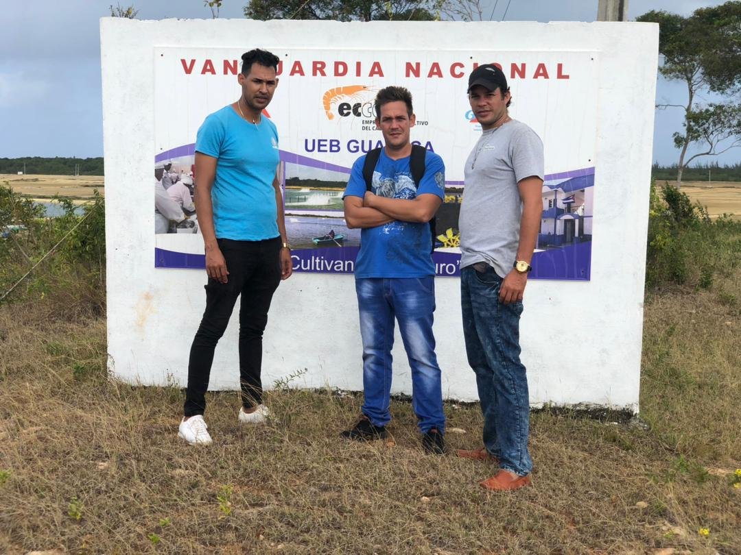 De forma #CreativaInnovadora profesores de #CEMA y Dpto Electrica de <a href="/UniversidadMoa/">Universidad de Moa Dr. Antonio Núñez Jiménez</a>  se integran con la UEB productora de Camarones, en la mejora de los indicadores productivos y de eficiencia energética <a href="/abelpalmero1/">Joan Abel Palmero Pérez</a> @WalterBG_uci <a href="/ElbaRosaPM/">Elba Rosa</a> <a href="/ondinaleon/">ondinaleon</a> <a href="/BreffTurro/">Alberto Turro Breff</a> <a href="/MEP_CUBA/">Ministerio de Economía y Planificación de Cuba</a>