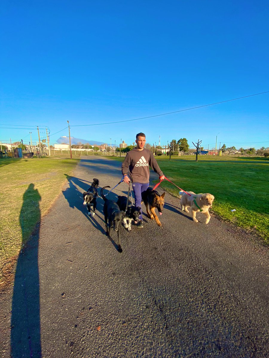 Un año más en esto que tanto me gusta y muy agradecido a todos los que confían en mi trabajo. 🐶❤️