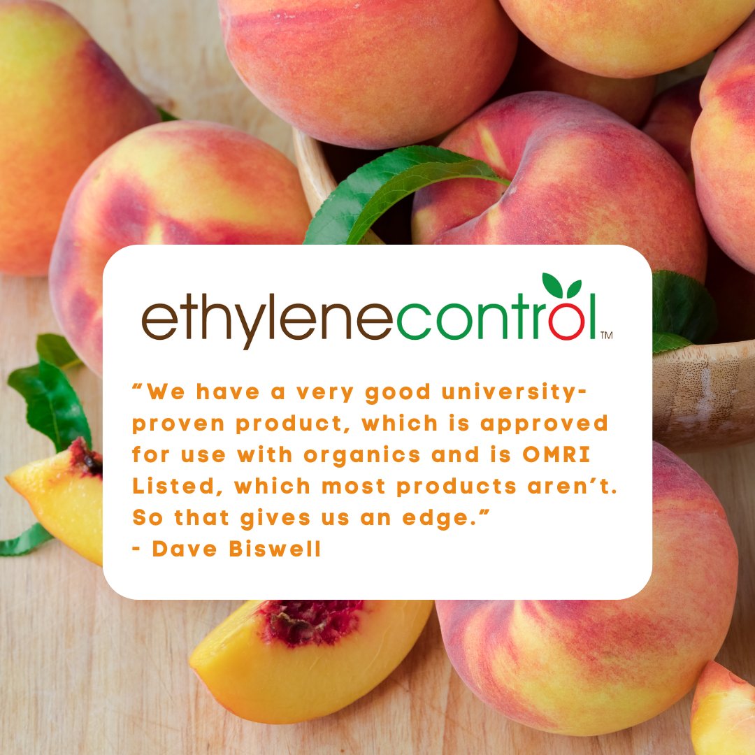 OPNnow's tweet image. @EthyleneControl plays a vital role for many growers, packers, and shippers by helping them extend the shelf life of organic and conventional produce. Read more on our website! ow.ly/2Els50MIwzM #OPNConnect #organic #ethylenecontrol
