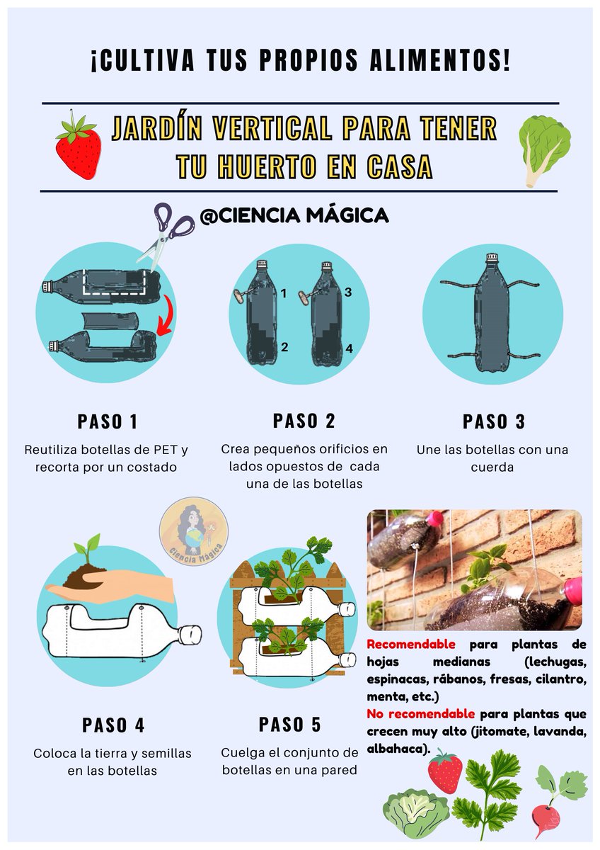 MagicaCiencia's tweet photo. Les comparto pasos sencillos para iniciar un huerto en casa, a veces creemos que necesitamos muchas cosas, cuando en realidad podemos aprovechar botellas de PET u otros materiales que tenemos en casa. 🌍🌱🤗 https://t.co/DvnV9OLRnQ