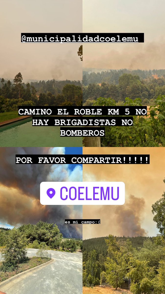 belentorresG's tweet image. CAMINO EL ROBLE KM 5 NO HAY BRIGADISTAS BI BOMBEROS, NECESITAMOS CORTAFUEGO!!!!! #IncendiosForestales #Coelemu @bomberoschillan @CentralCBC @CarabNuble @emergencianuble POR FAVOR COMPARTIR