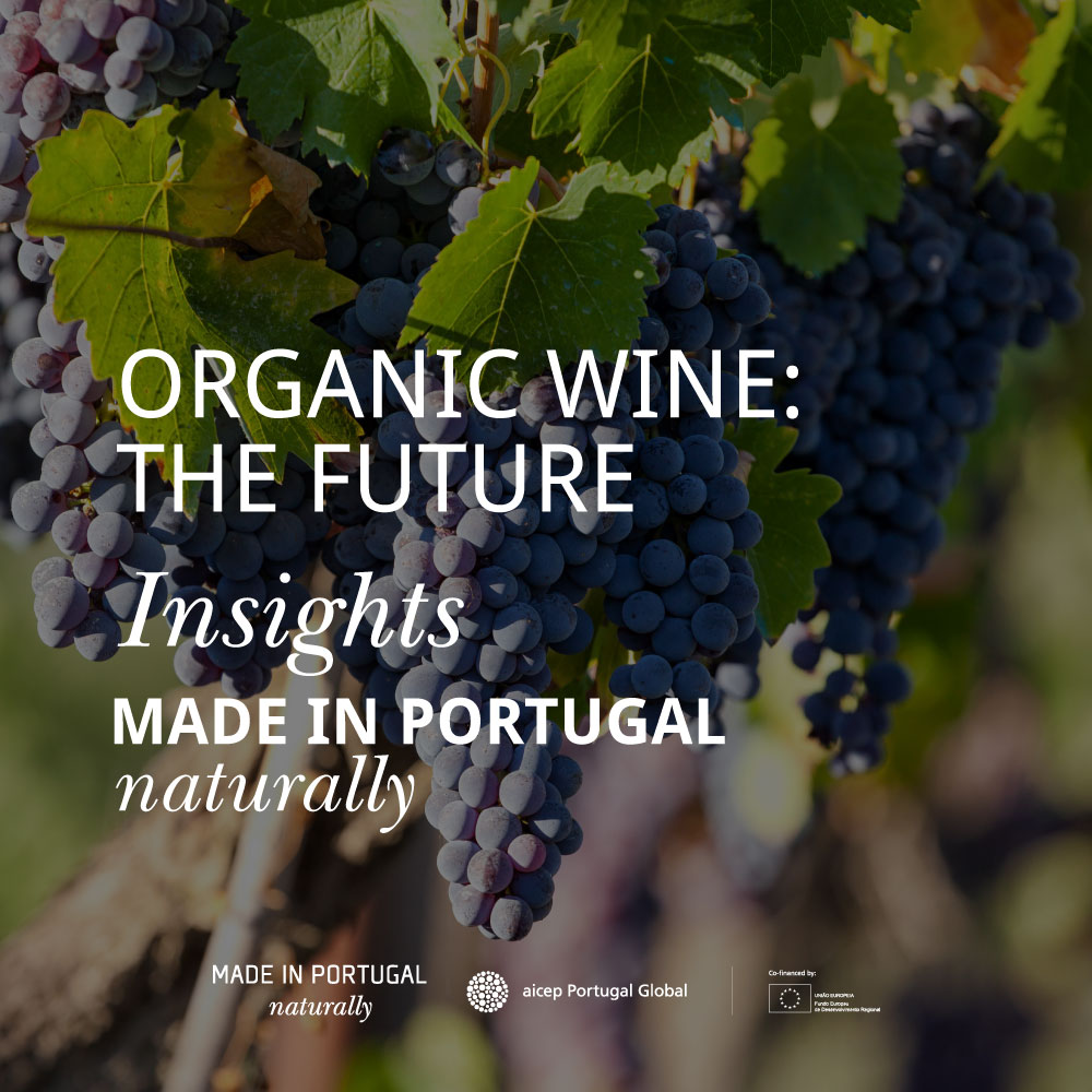 #OrganicWines have gained significant penetration globally. Their popularity is owed to their health benefits, along with their fine taste. E-commerce has made it accessible to consumers all over the world.
portugalglobal-northamerica.com/portuguese-win…
