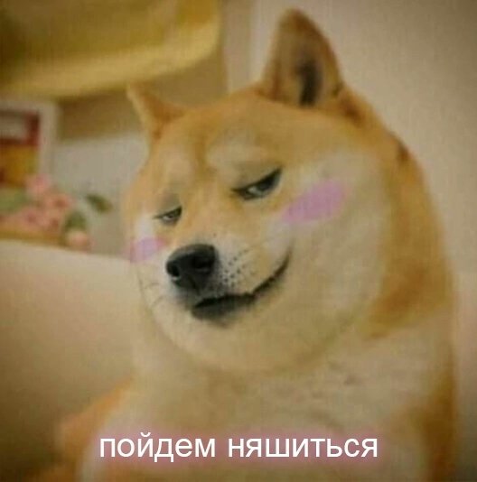 lovvwka's tweet photo. @Mertvyj_kotenok https://t.co/ZaReSYioAc