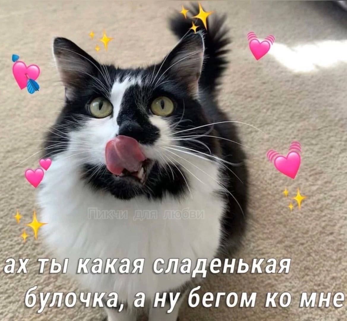 lovvwka's tweet photo. @Mertvyj_kotenok https://t.co/ZaReSYioAc