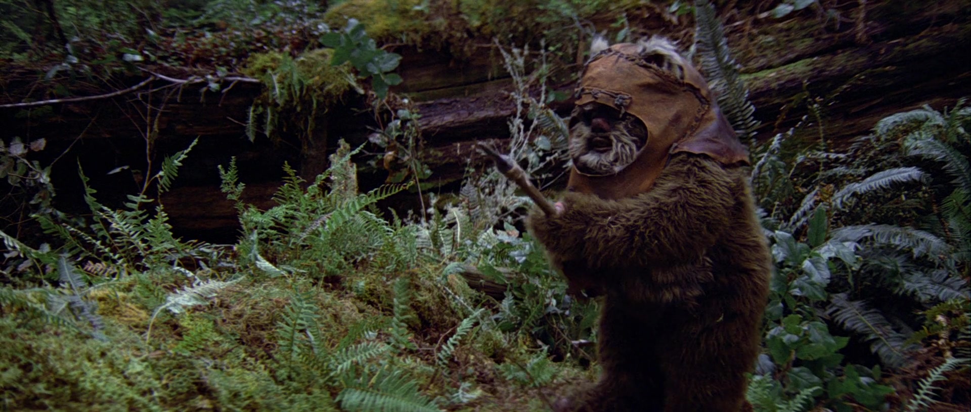 Happy Birthday to Warwick Davis, Wicket the Ewok, Wald the Rodian, as well as a podrace spectator! 